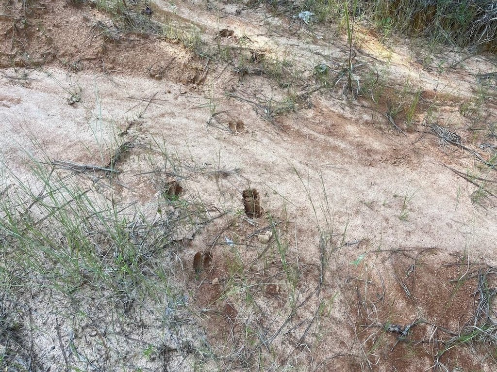 Picture 29