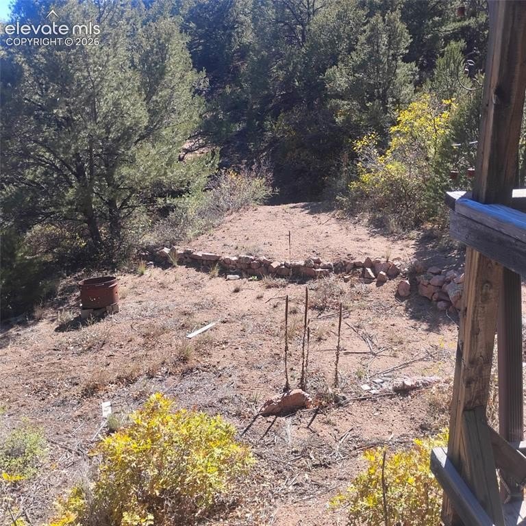Picture 11
