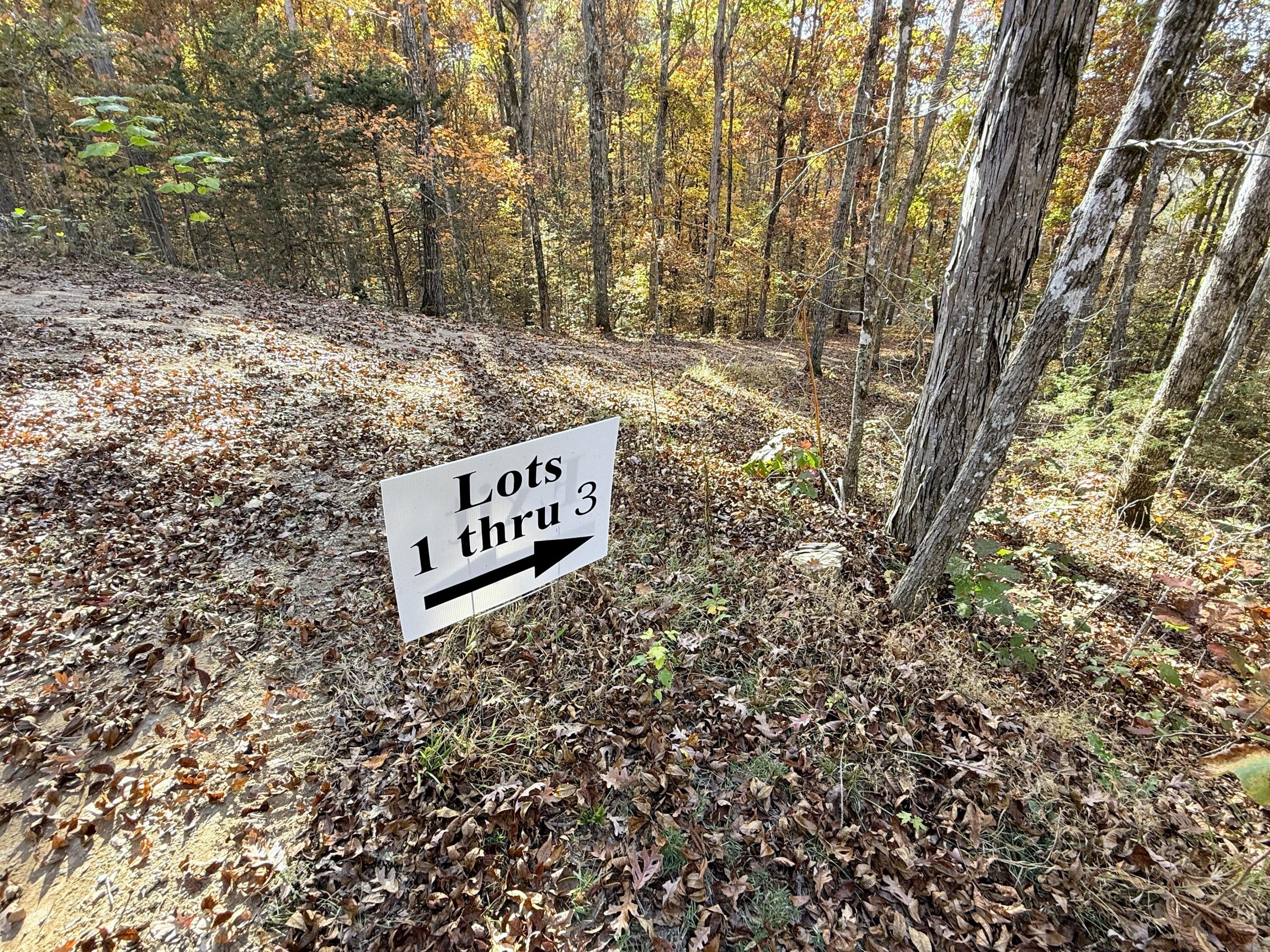 Parrottsville Land for Homesteading