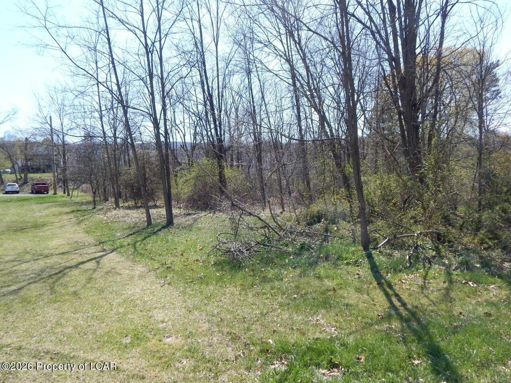 Picture 5
