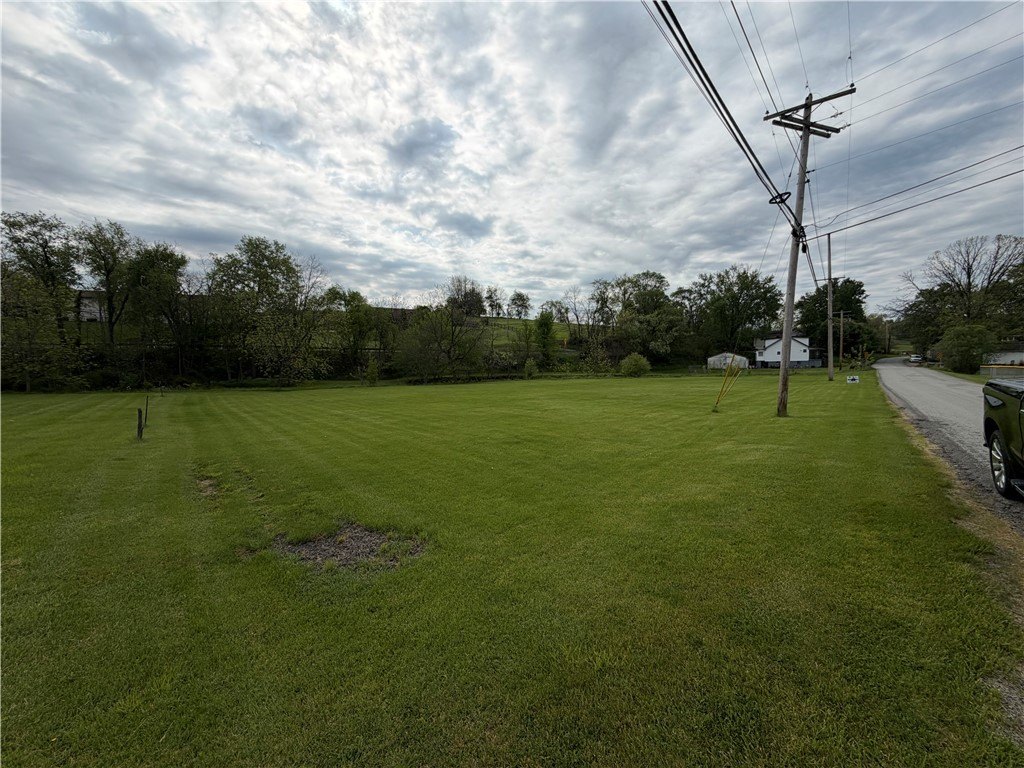 Picture 8