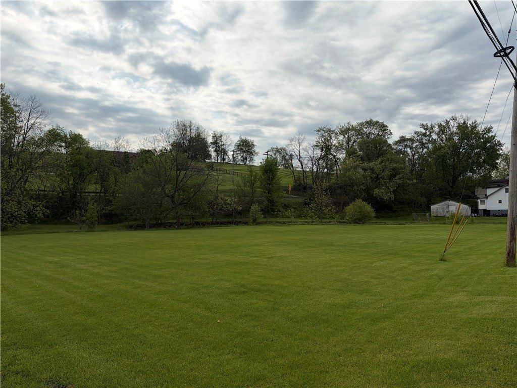 Picture 9