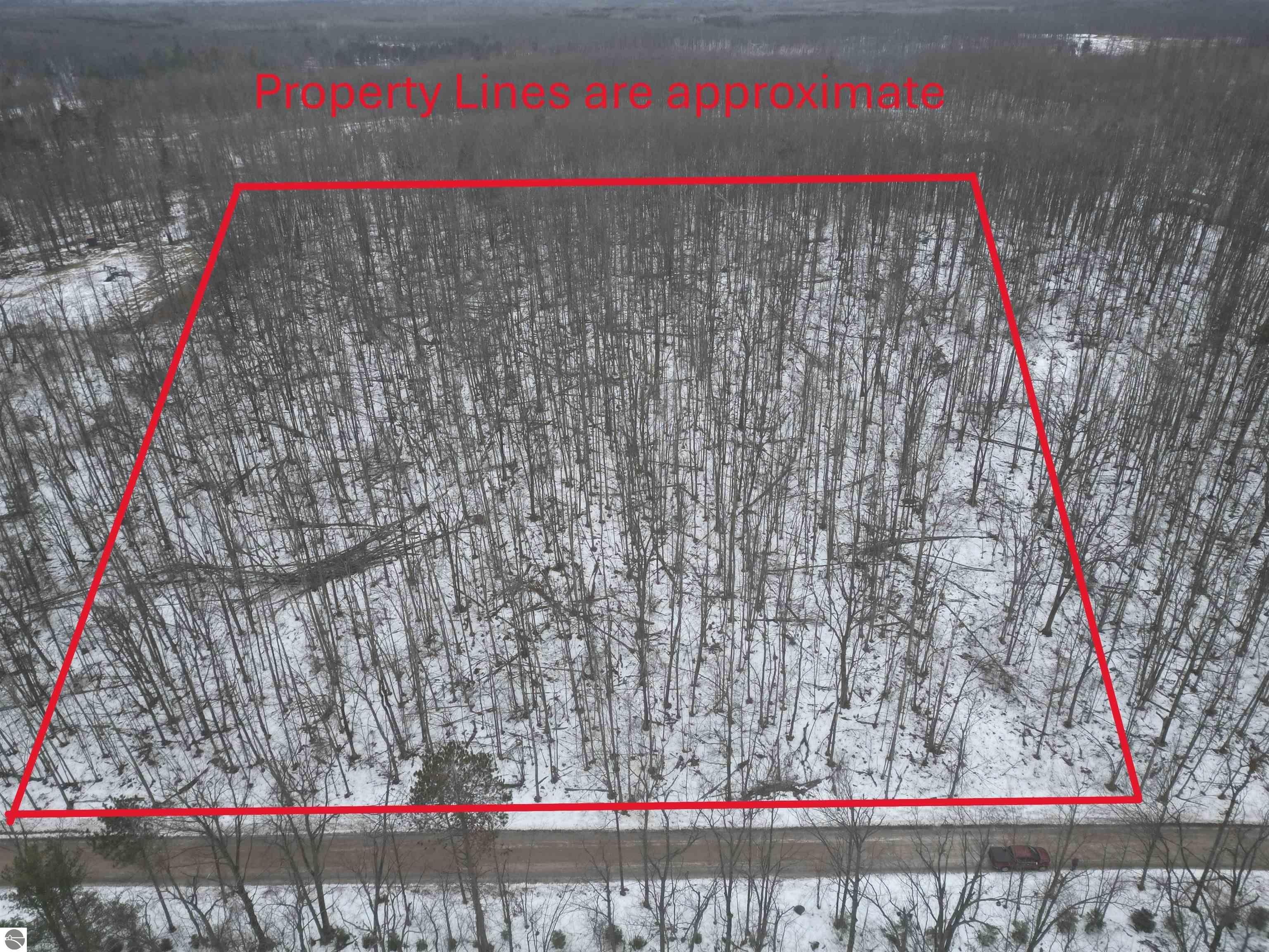 Secluded 4-Acre Wooded Land