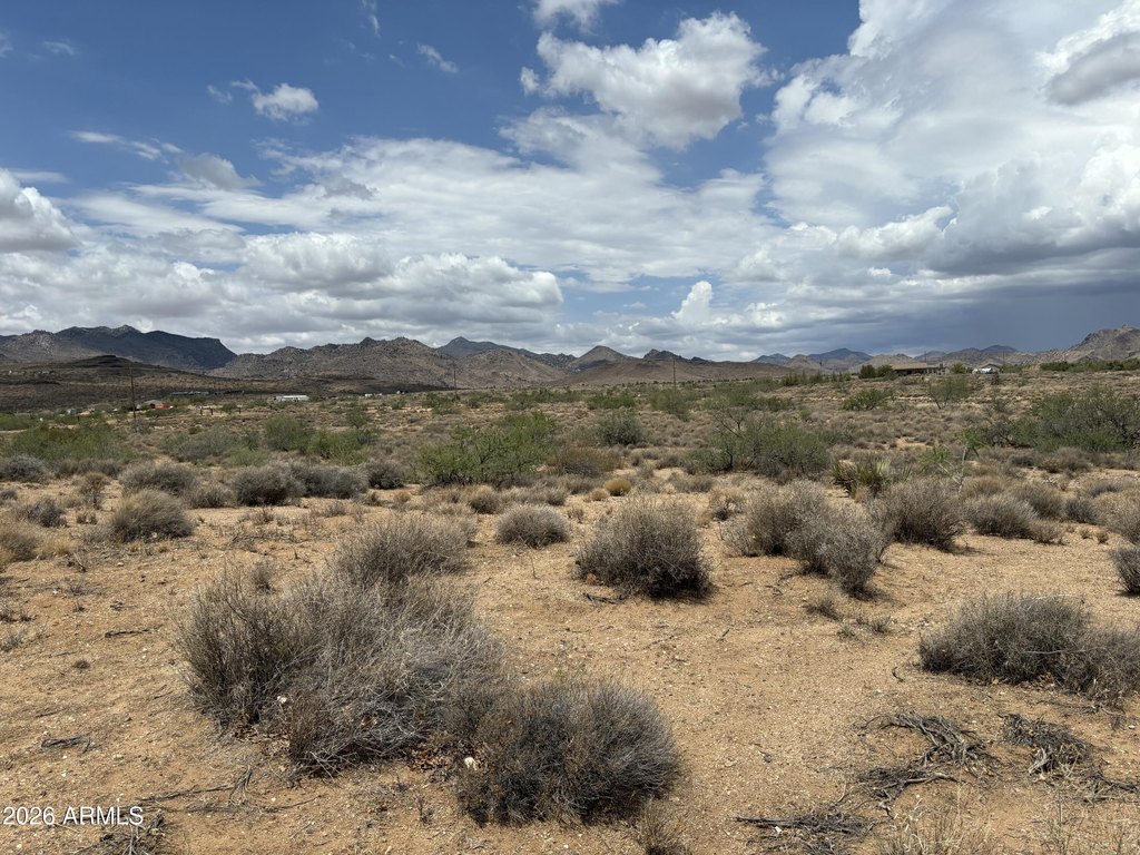 Picture 4