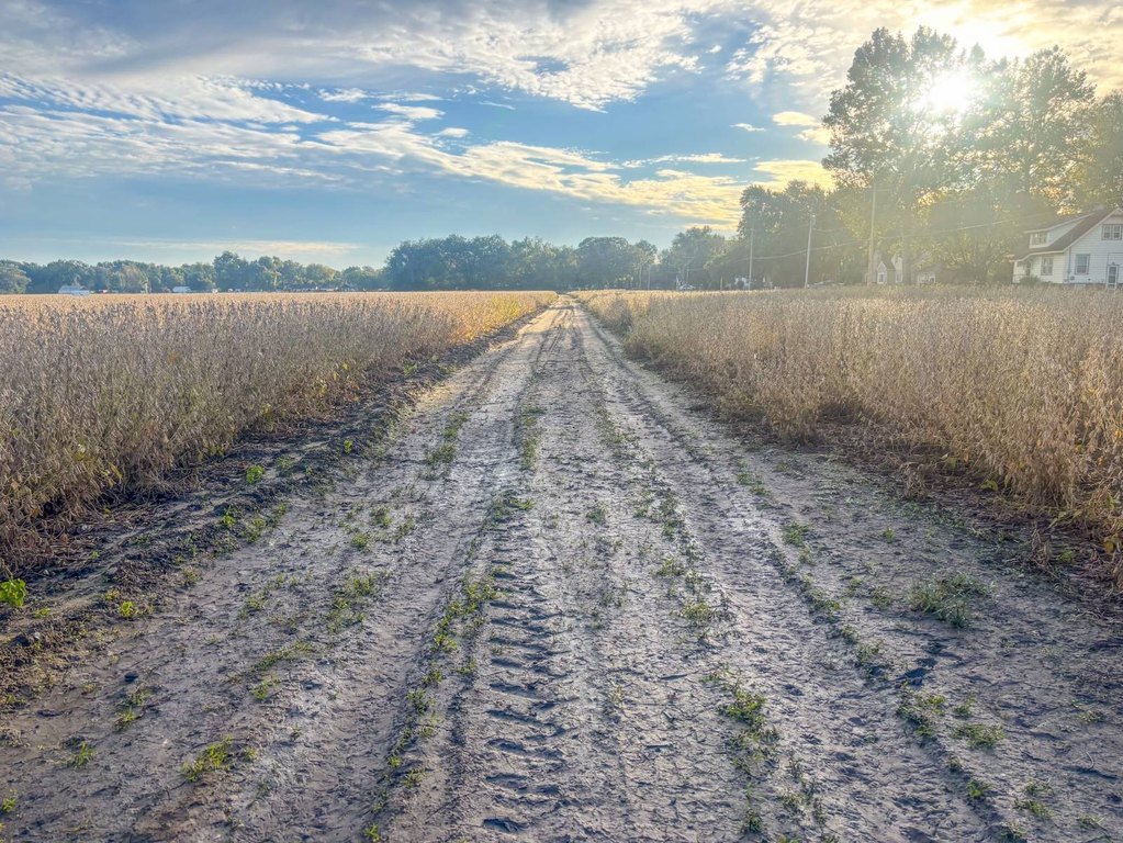 Picture 36