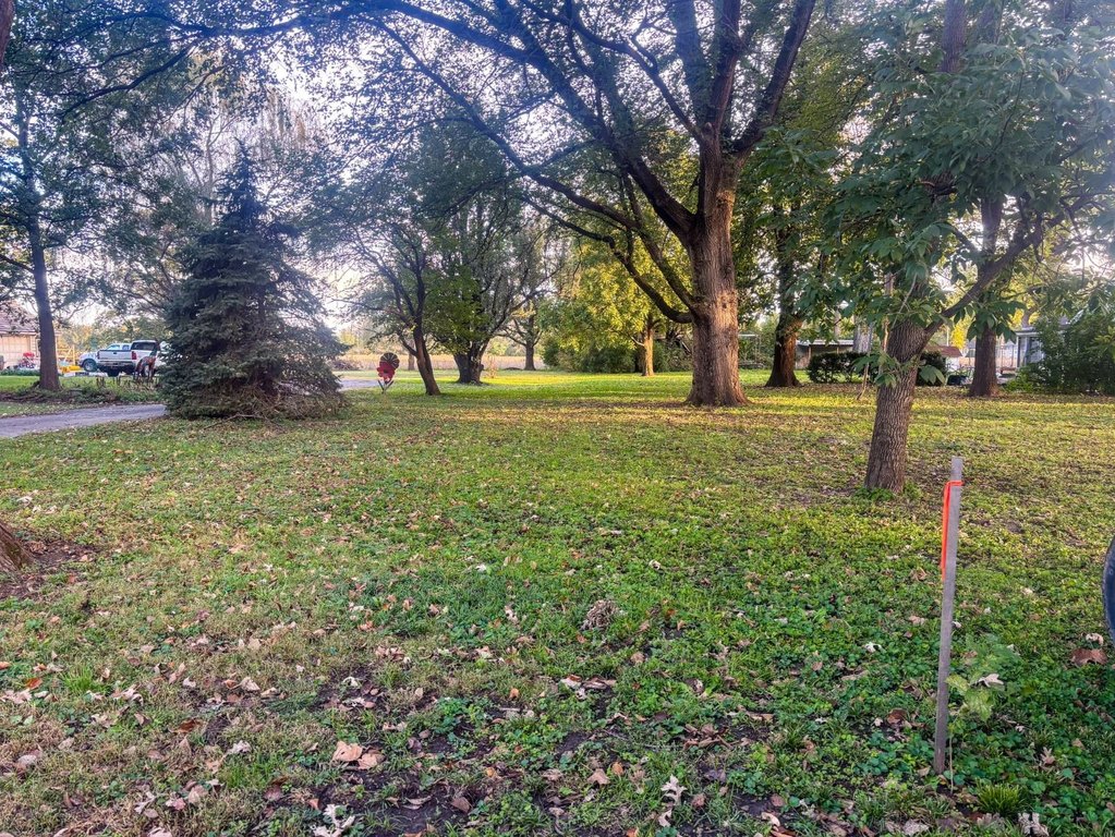 Picture 41