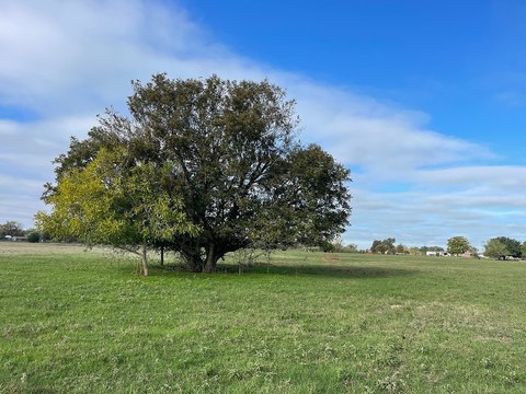 La Grange Acreage with Well