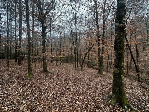 LAND - VALLEY, AL