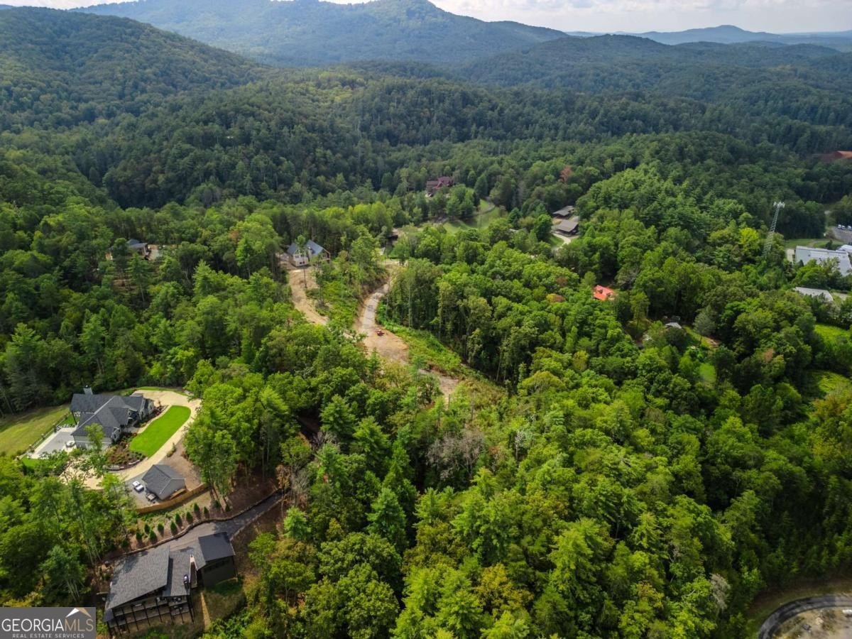 Ellijay Land with Mountain Views