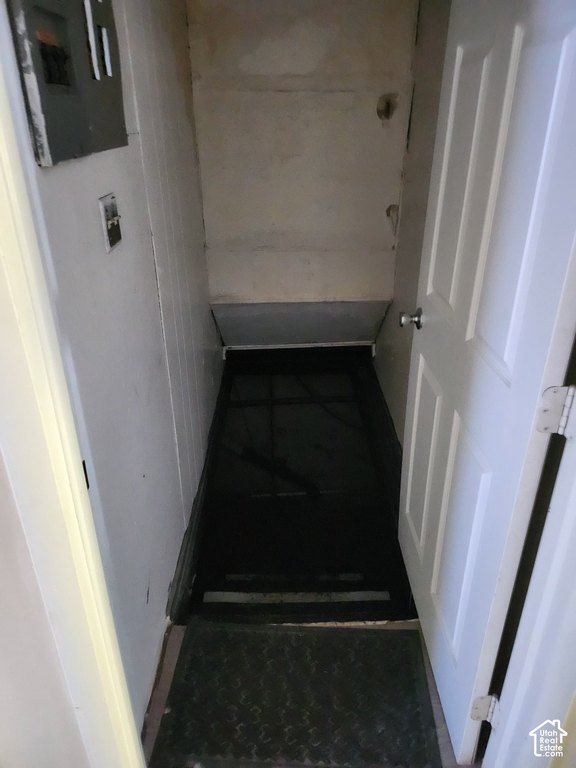 Picture 5