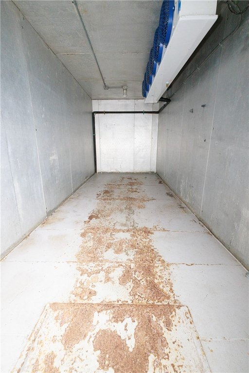 Picture 13