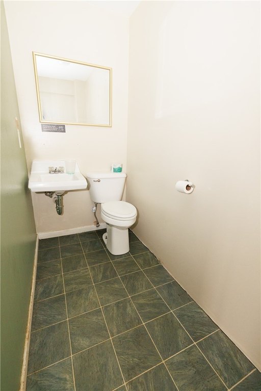 Picture 33