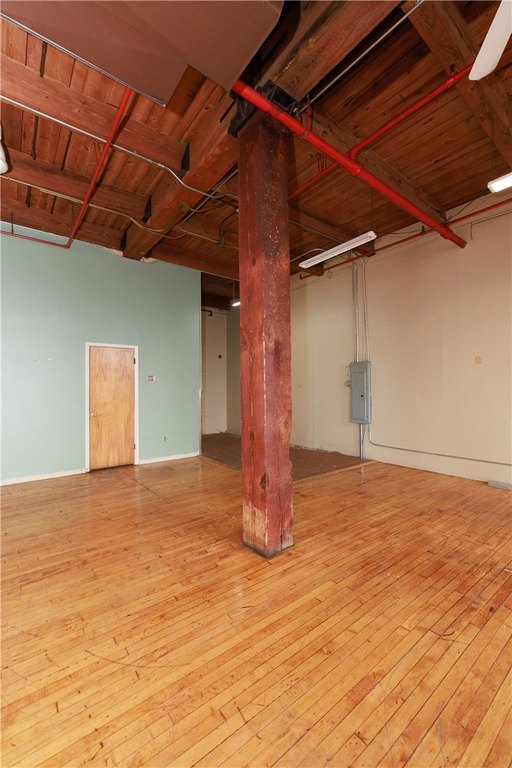 Picture 8