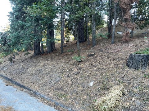 Residential Land in Lake Arrowhead