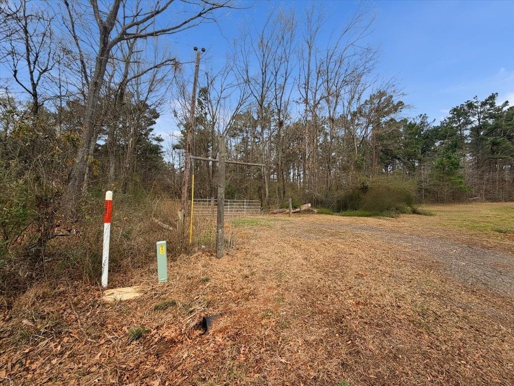 Picture 15