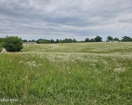 LAND - Goodman, MO