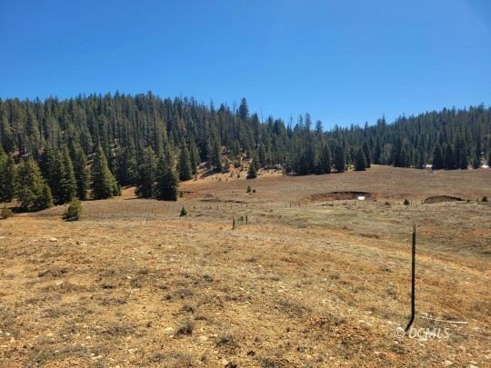 Duck Creek Village Residential Lot