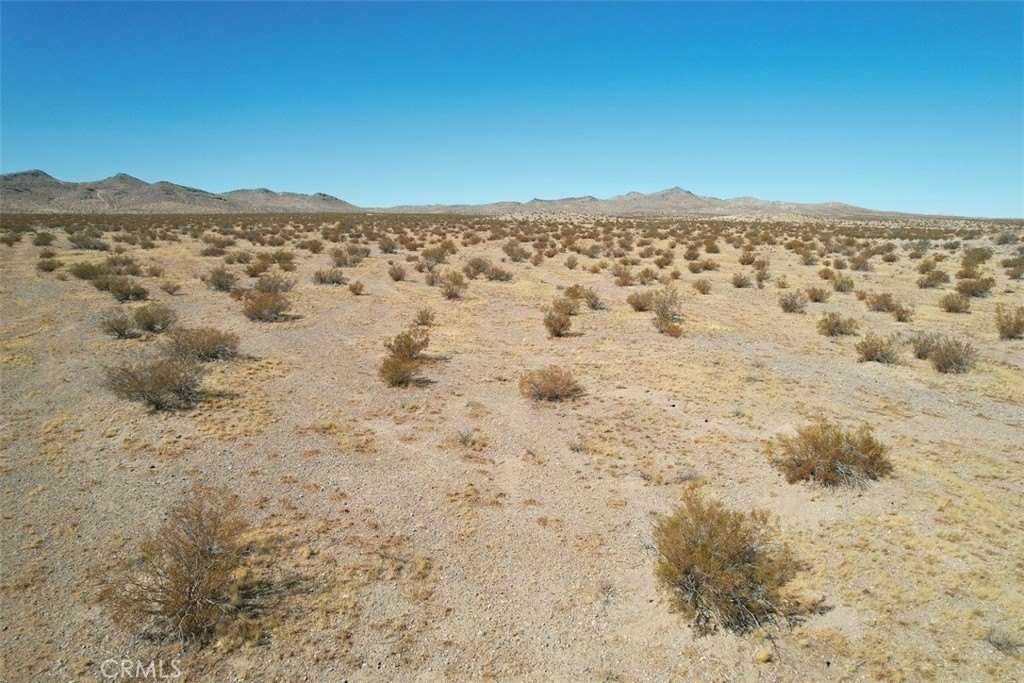 Picture 8