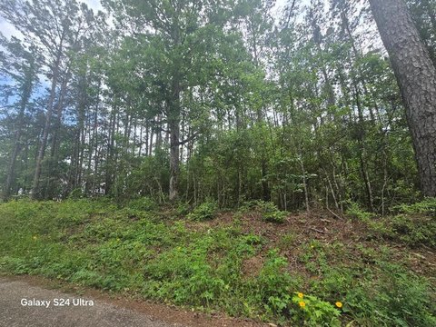 Wooded Land in Newton, TX
