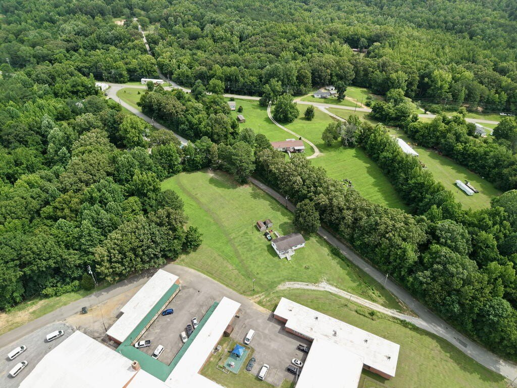 Picture 11