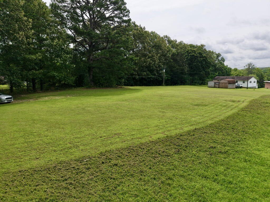 Picture 19