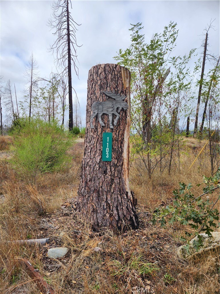 Scenic Land in Berry Creek