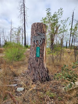 Scenic Land in Berry Creek