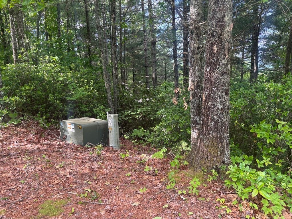 Picture 5