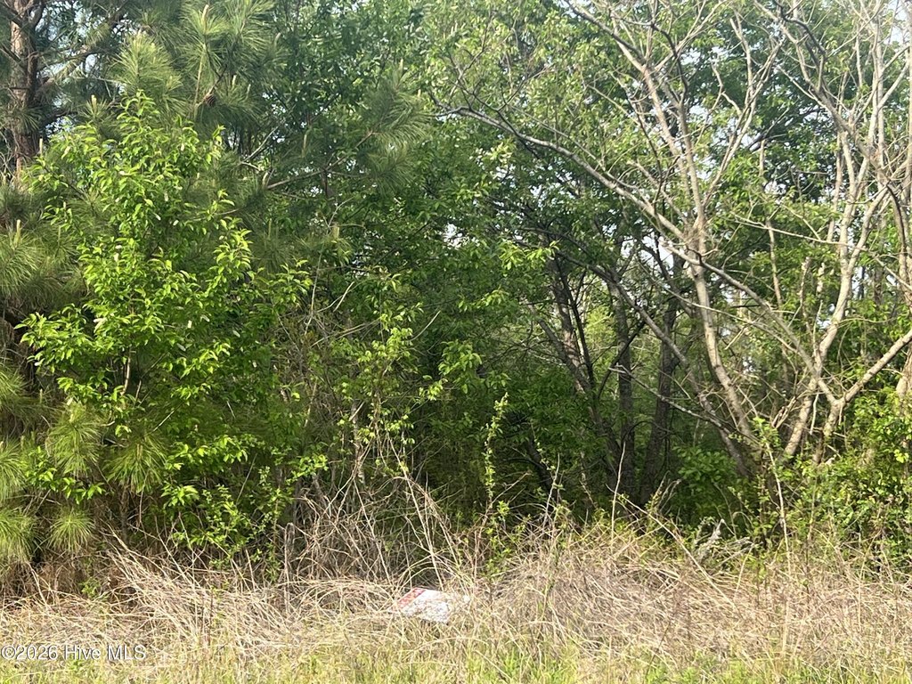 Picture 3