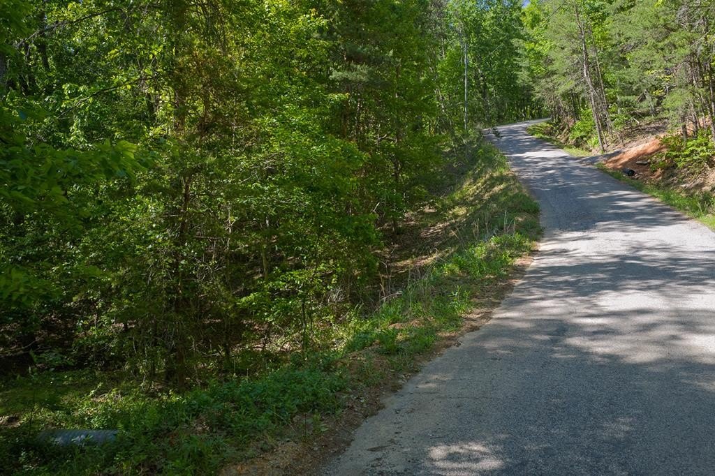 Wooded Homesite in Jasper, Georgia