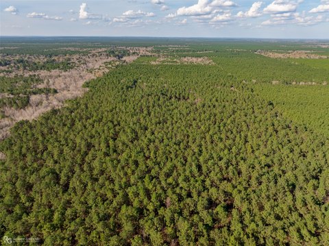 Recreational Timber Land Tract