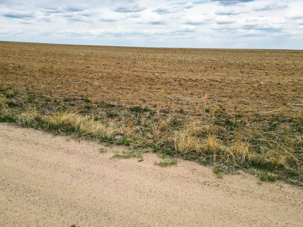 Picture 16