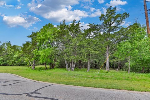 Wooded Resort Lot at Cul-de-Sac