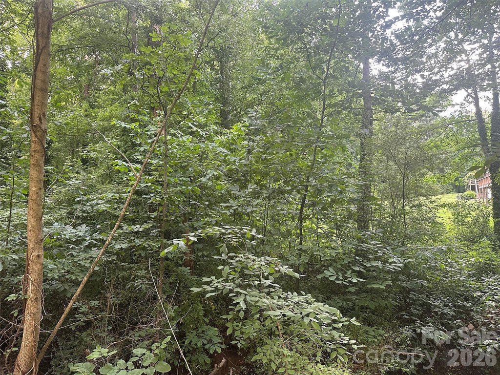 Picture 24