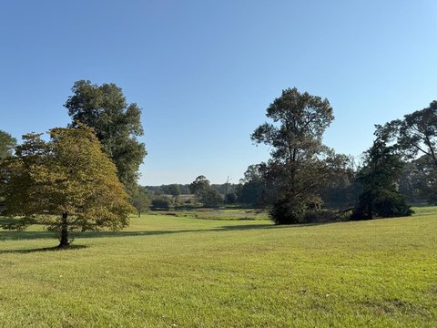 East Texas Retreat Land
