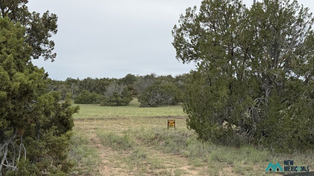 Picture 15