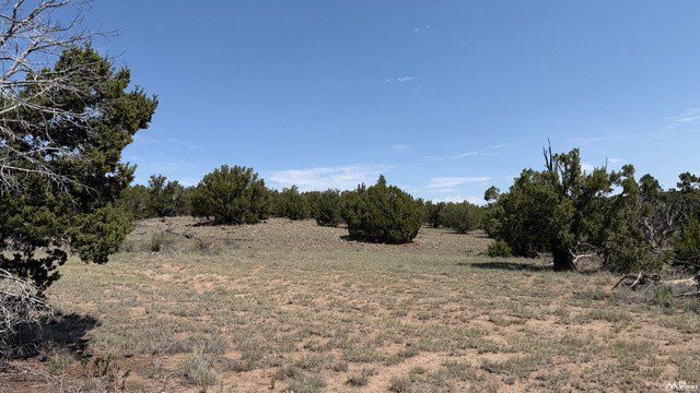 Picture 10