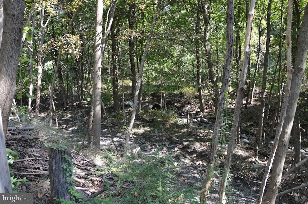 Land in Shenandoah, Pennsylvania