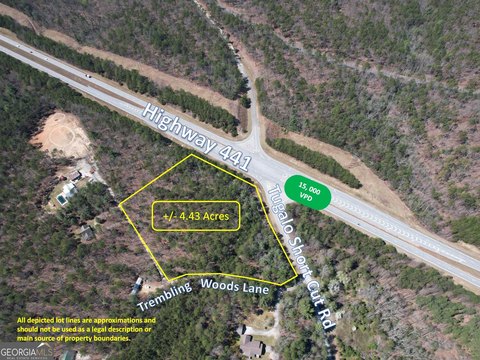 Commercial Land in Clarkesville, GA
