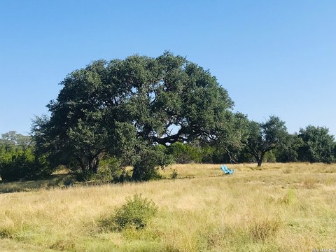 LAND - Pipe Creek, TX