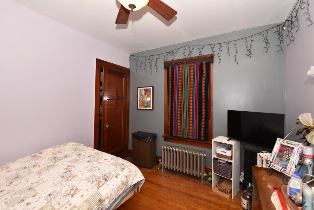 Picture 14