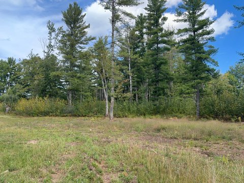Land, Minocqua, WI