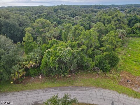 Residential Homesite Lot in Labelle