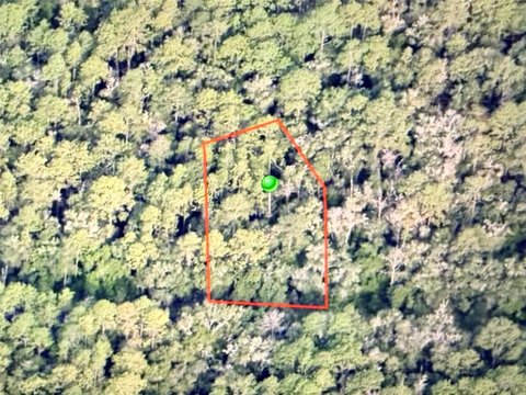 Land, CITRUS SPRINGS, FL