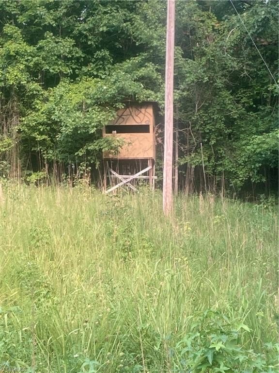 Picture 3