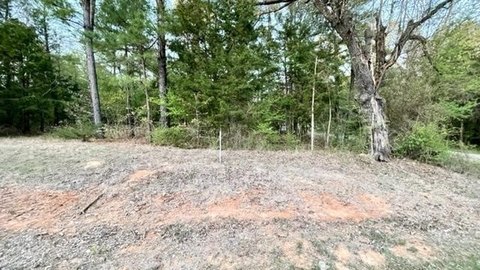 Land, Mount Vernon, TX