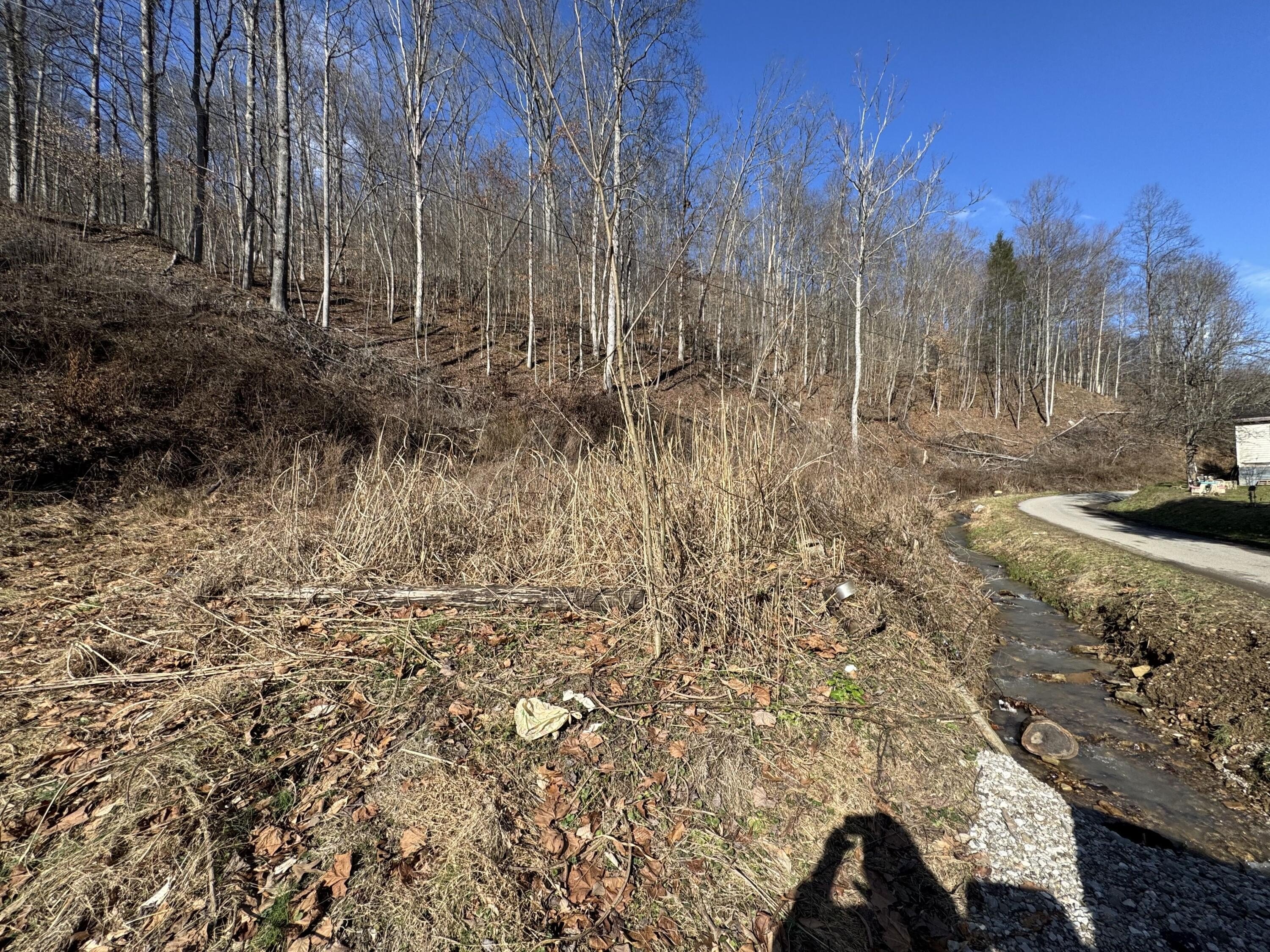 Chapmanville Land For Sale
