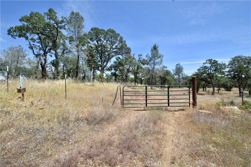 Picture 7