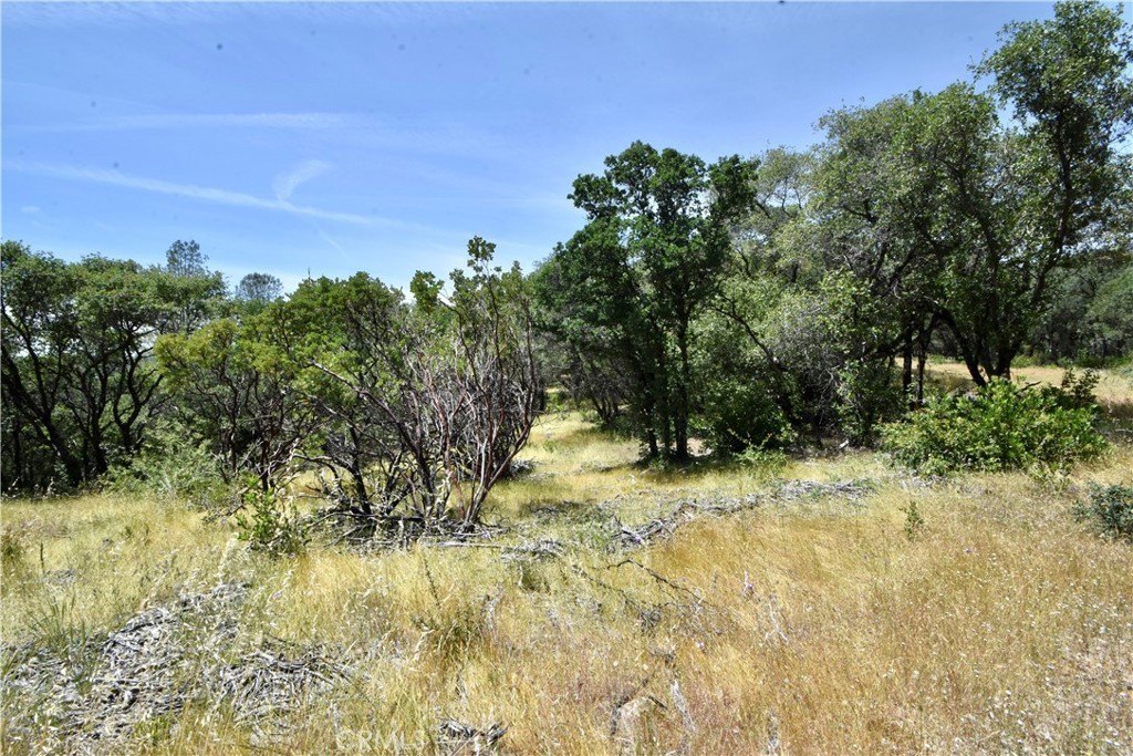 Picture 36