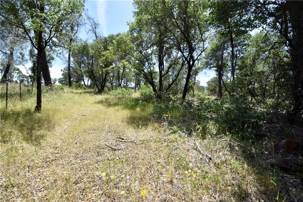 Picture 21